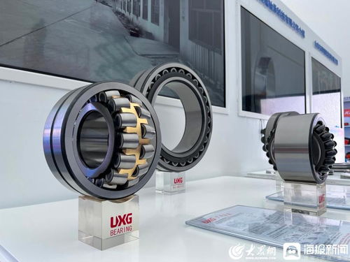 探访青岛峰会 跨国公司与中国主题展现场，聊城硬核产品与专业服务闪耀全球舞台